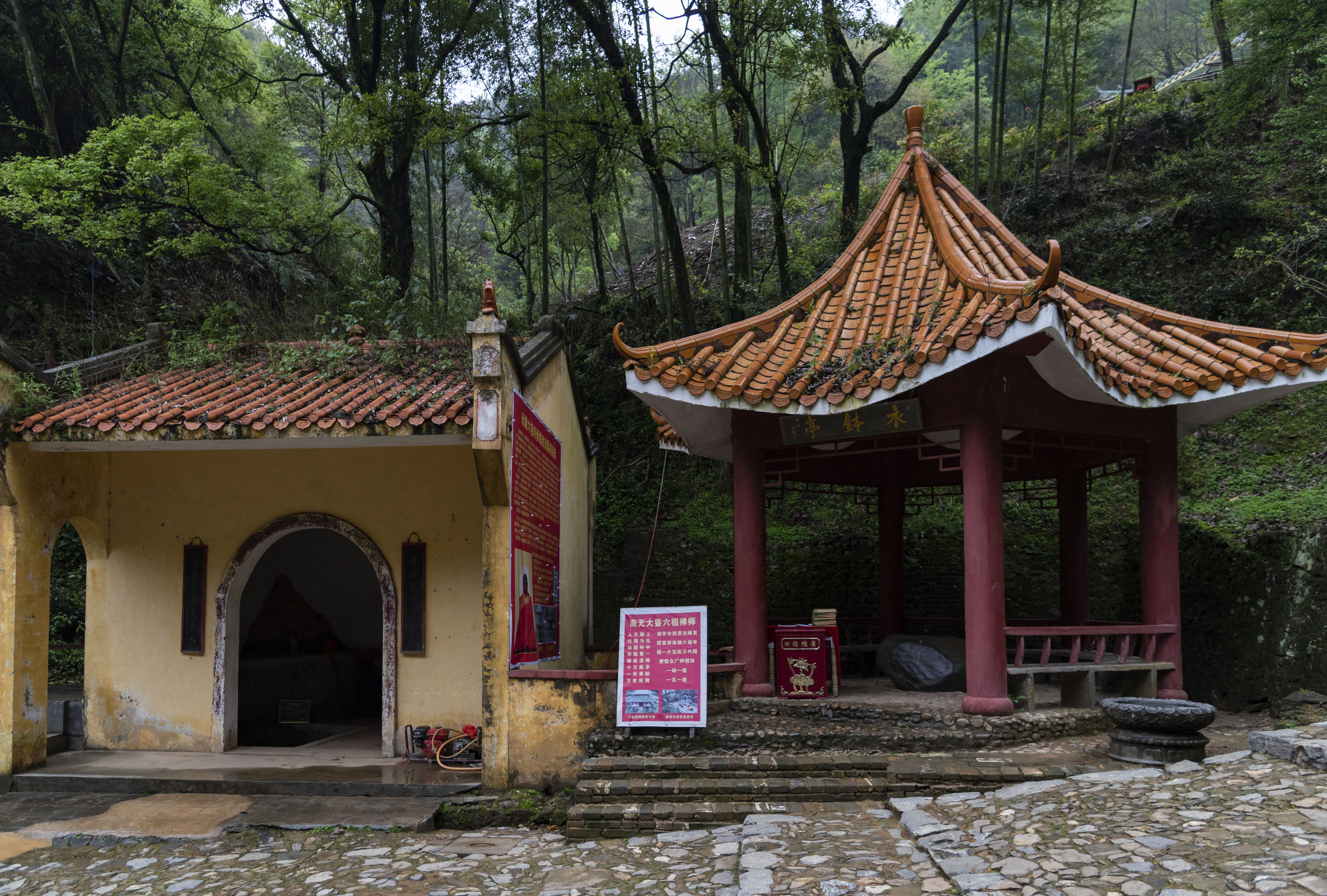 中国佛教惠能,惠能大师是南传佛教吗