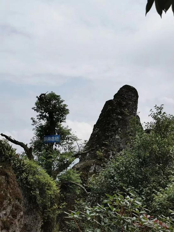 江湖路的风景视频,江湖路上走走停停