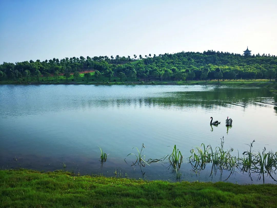 蓝城史诗级田园巨著，或将引领十万武汉人“上山下乡”