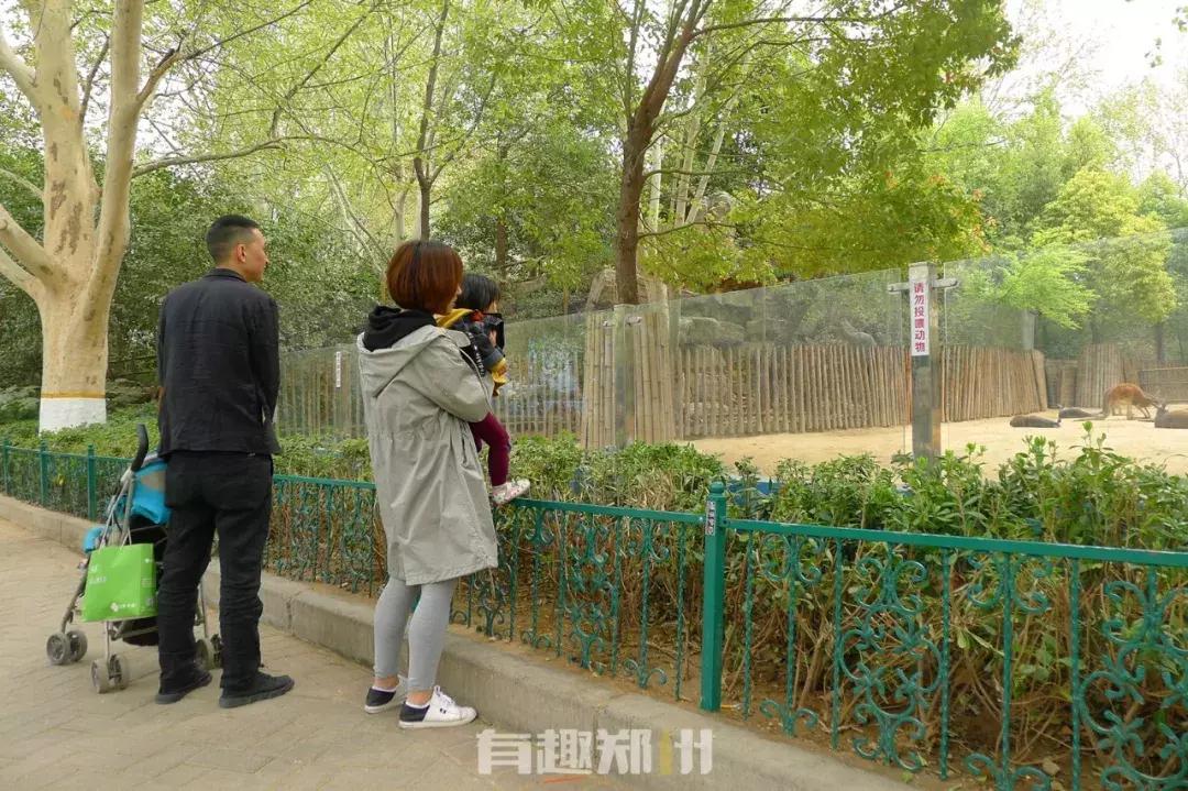 郑州市动物园开放,郑州市动物园什么时候去合适