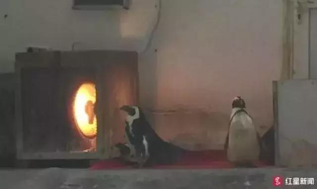 女子和孩子进家门被尾随,女童在小区被陌生男人尾随