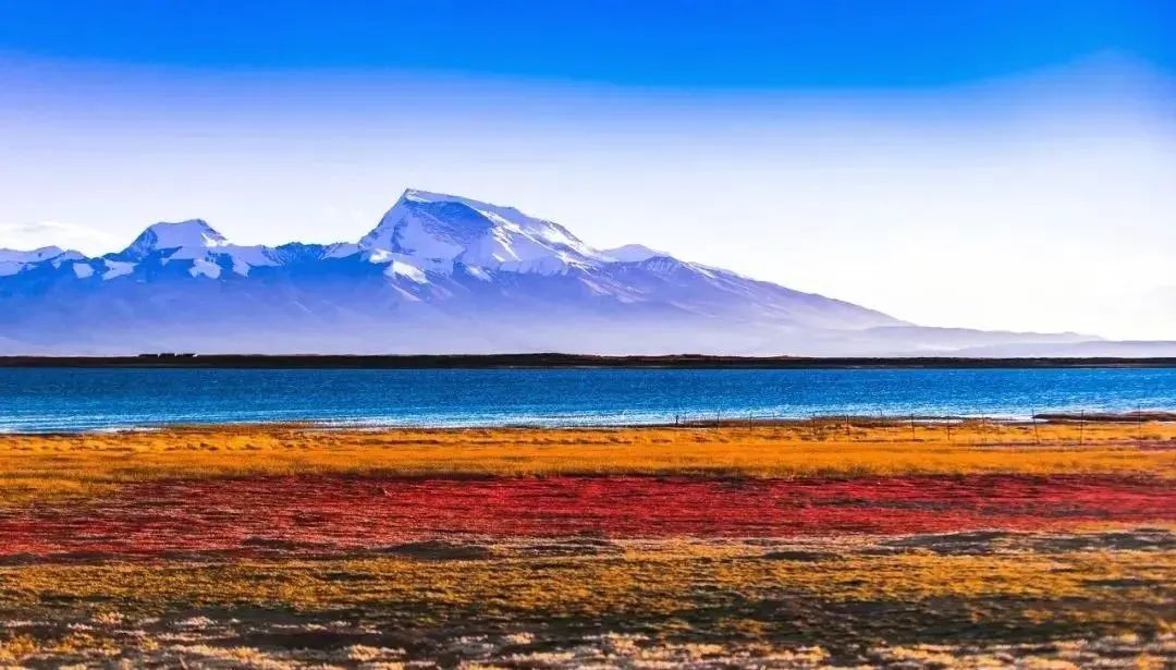 1011月错过它们，等于错过整个秋天！人少清净，随手一拍都是大片