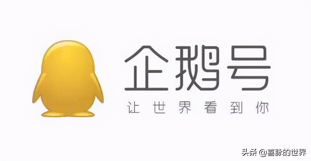 一份极为主观的国内常见内容创作平台体验报告