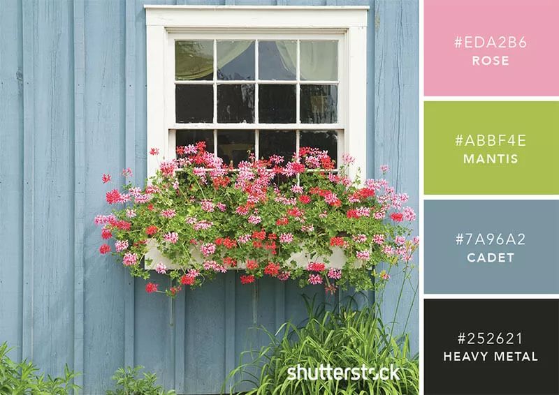 色彩搭配个人形象设计,色彩搭配都是业主亲自选择