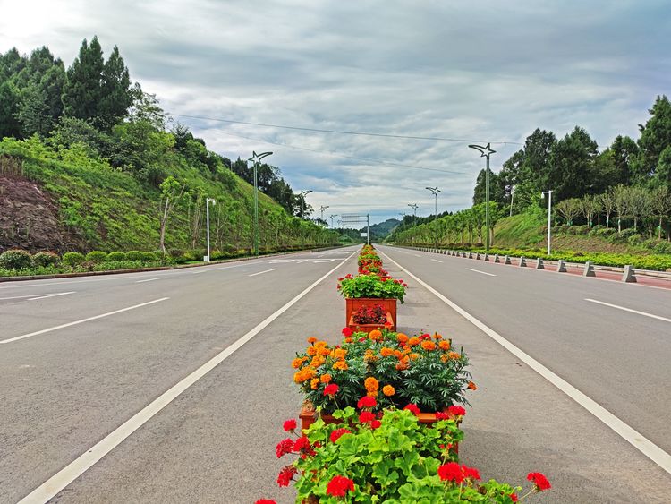 涔愯嚦鑽疯姳鎽勫奖浣滃搧娆ｈ祻,涔愯嚦鍗拌薄鎽勫奖