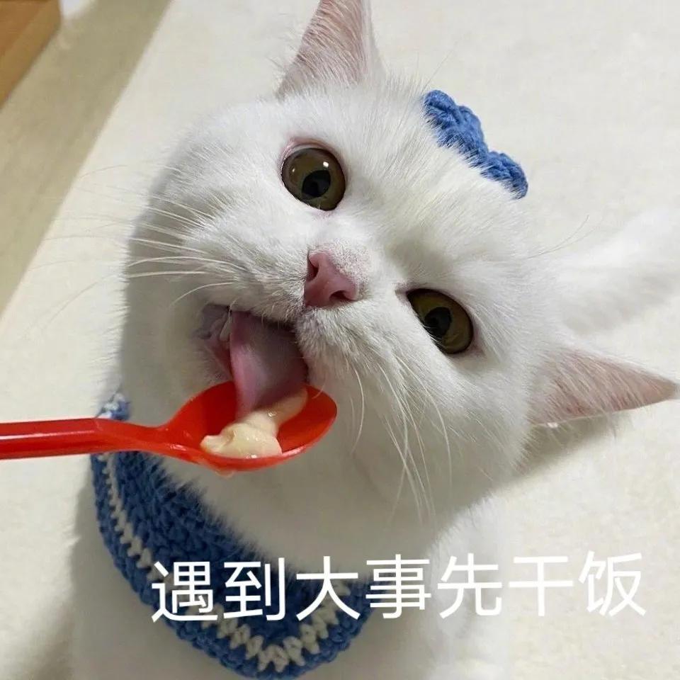 快到碗里来！带你了解舌尖上的湖北交通职业技术学院