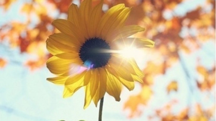 30岁一事无成我们需要怎样面对,30岁一事无成的十大缺点