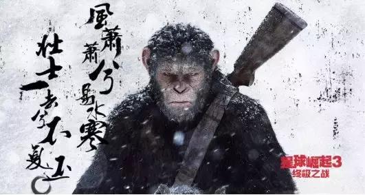 新版狮子王和旧版狮子王,狮子王2019新版