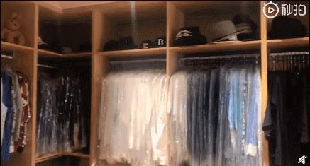 包文婧请保姆,包文婧家政