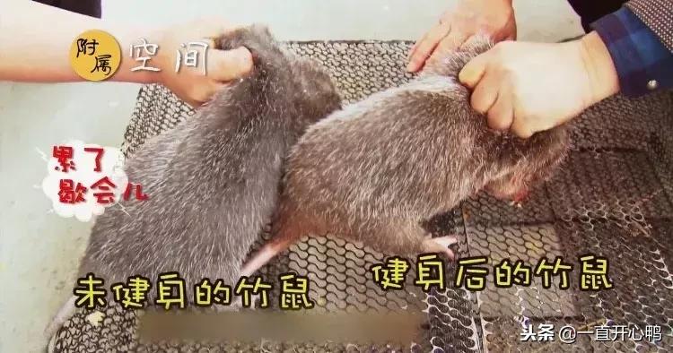 致富经节目现在怎么样了,致富经里的节目真实吗