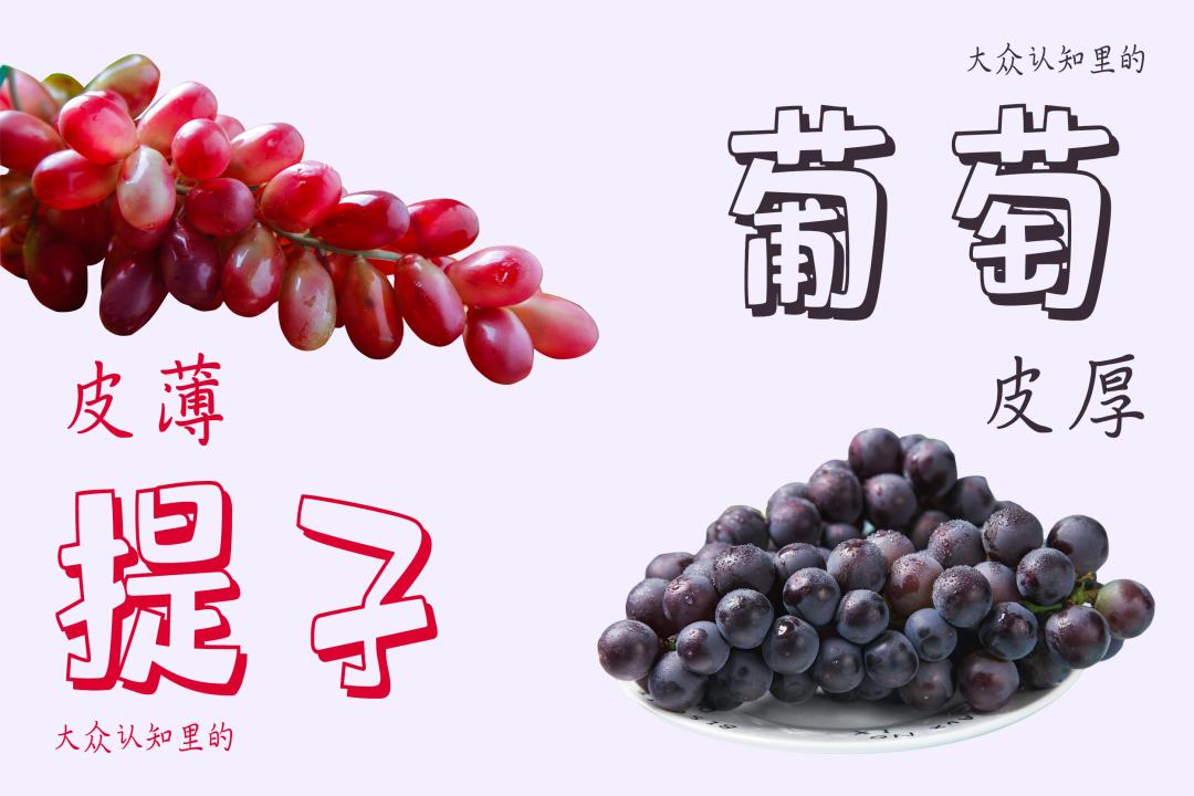 葡萄熟了但很小,葡萄有的熟了有的没熟