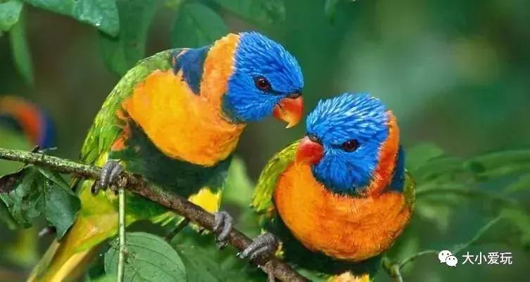 适合孩子玩水的地方北京,北京十大亲子玩水乐园