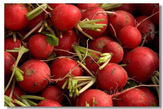 雌性红萝卜治痛风哪里有卖,红萝卜煮水喝对痛风有好处吗