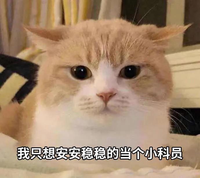 国考海关职位好吗,国考海关和税务哪个好