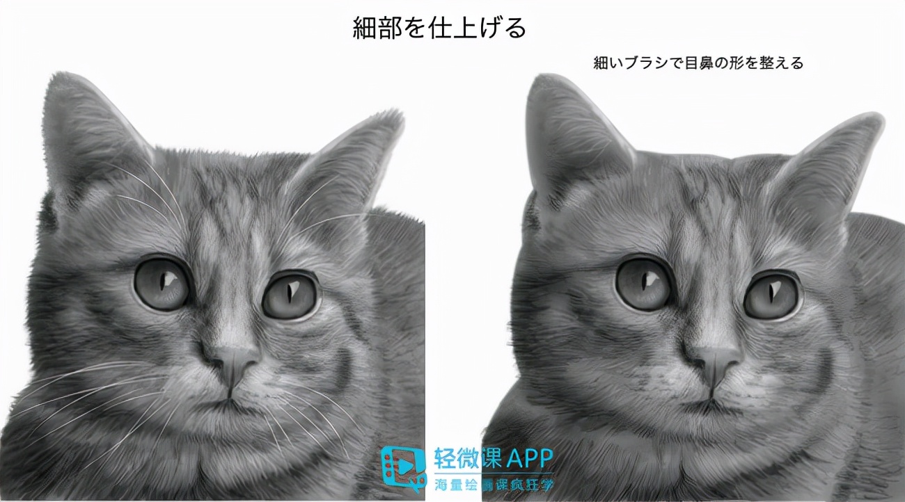 最最简单的动物画法,小动物怎样画出不同动作