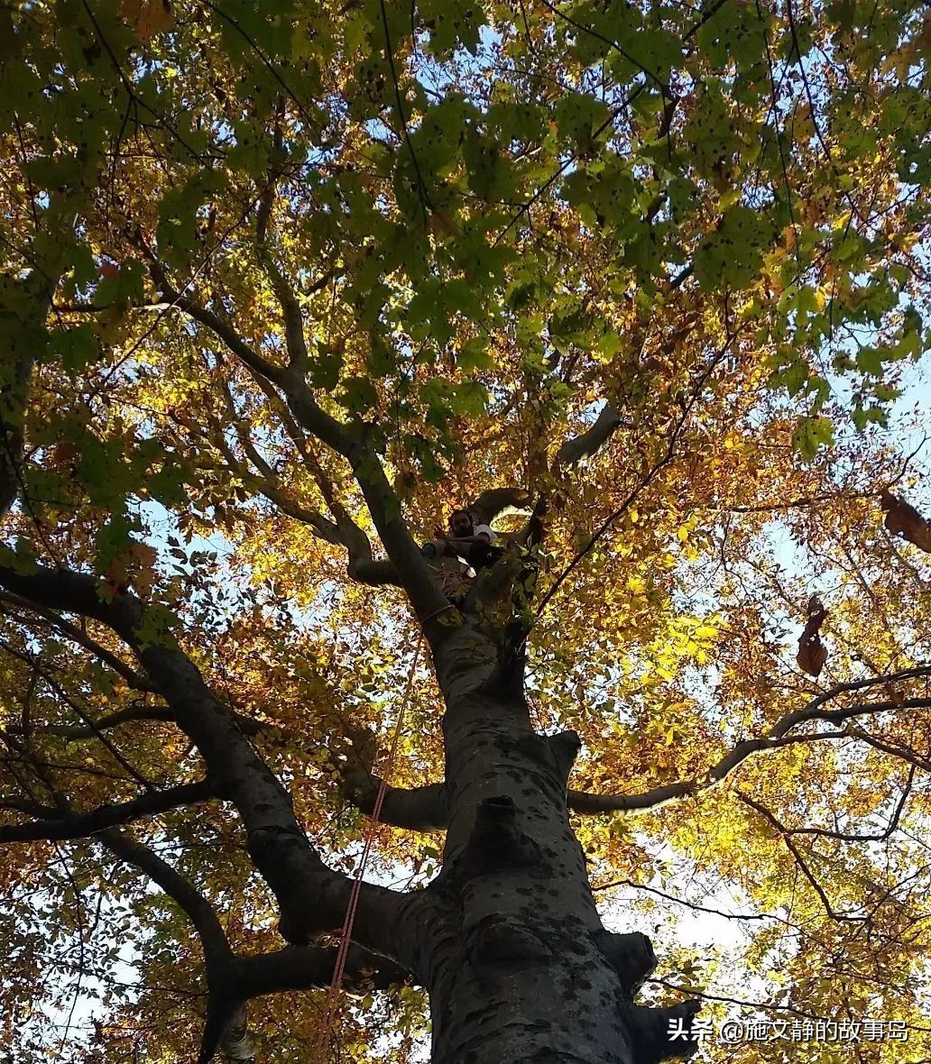 人生只活一次,人只活一次活成自己想要的样子