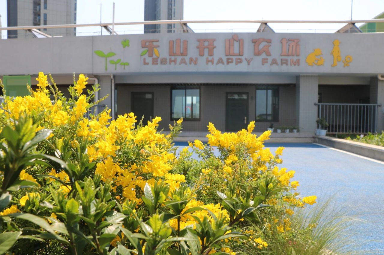 河西区公办小学,南京河西南有哪些好的小学