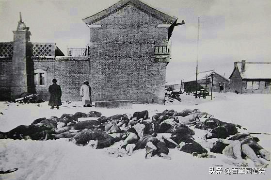 中医治瘟疫的古方,古代治疗鼠疫的方子