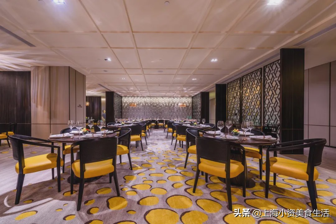 魔都薅羊毛日记,2022魔都高段位薅羊毛指南