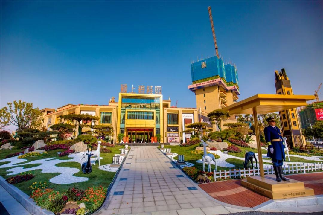 碧桂园南北通透户型讲解,碧桂园120户型分析与大师讲解