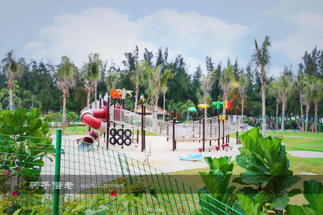 茂名最浪漫海岸在哪里,茂名浪漫海岸夕阳美如画