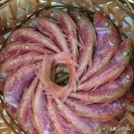 真假广东人测试,真假伪人测试