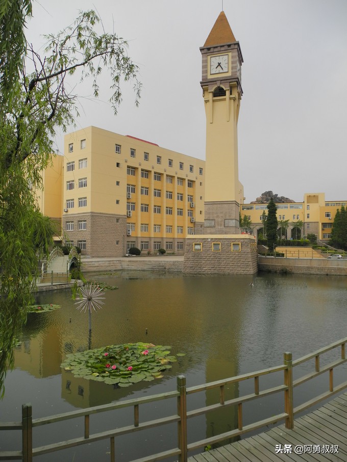 青岛二中2019高考成绩,经验分享大学专业