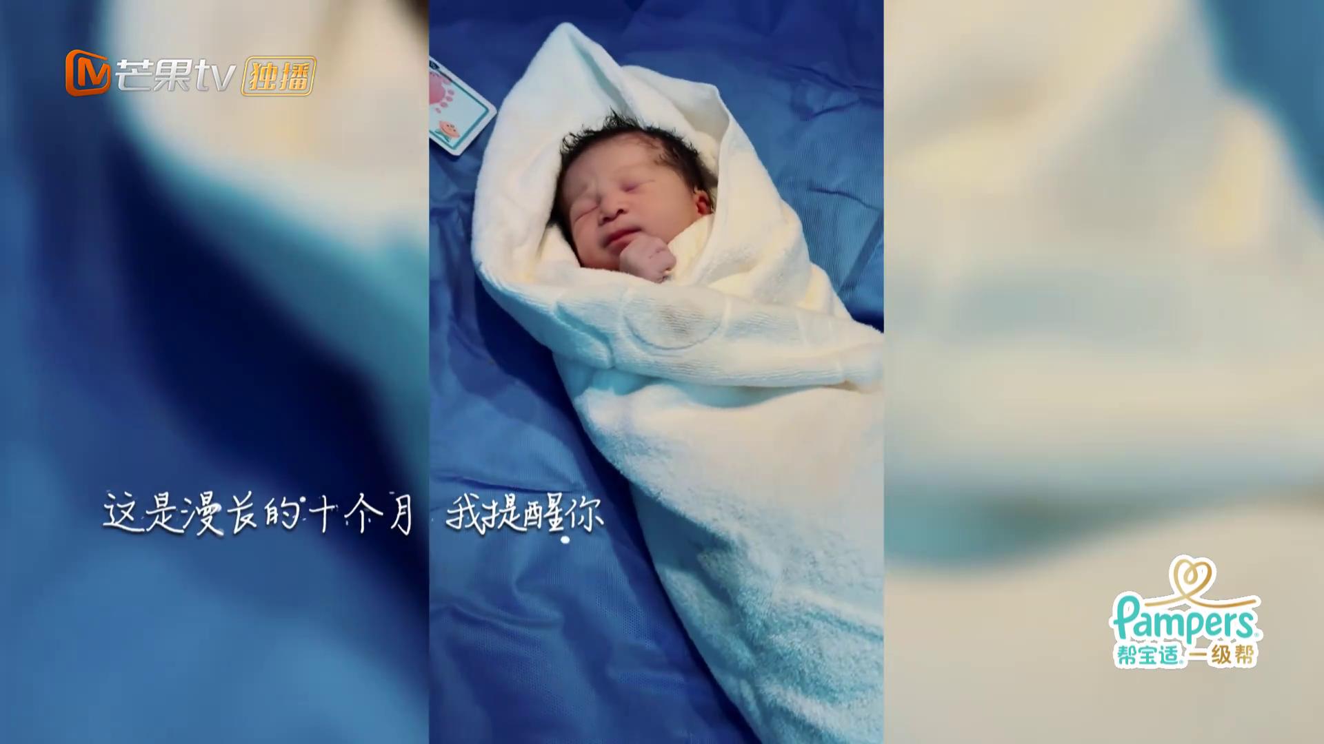 新生日记陈燃落泪,新生日记陈燃生产