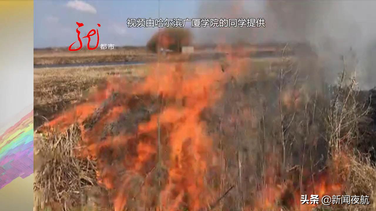 哈尔滨广厦学院民兵连拉练途中遇火灾，春季蔓延迅速勿让悲剧重演