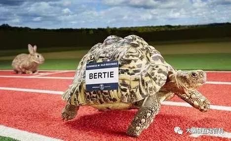 美国快递为什么慢,美国快递有多慢