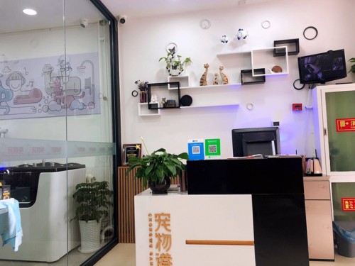 宠物店加盟新手必看,宠物开店加盟