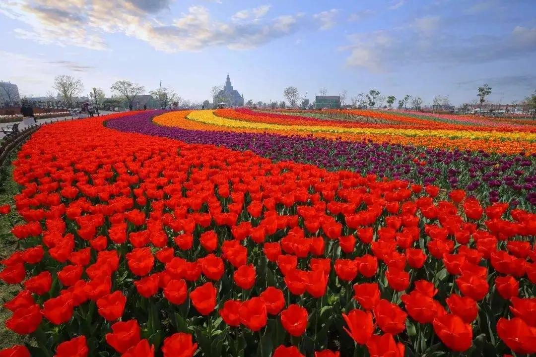 给自己女爱豆生日祝福语,给爱豆四字生日祝福语