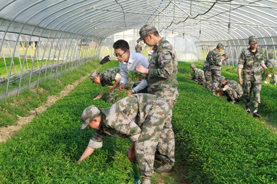 头条企业志第七期|正心教育,让孩子更优秀