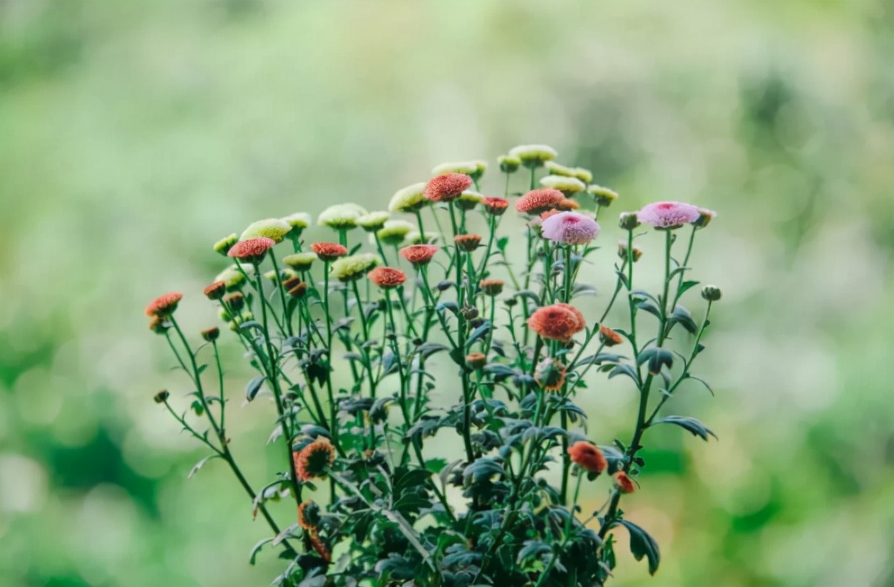 人到中年最要紧的是努力赚钱,人到中年赚钱才是最大的清醒