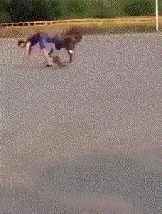 搞笑gif开心每一天,搞笑gif开心一刻动图