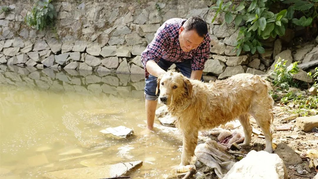 广州地铁22号线离增城距离多远,增城地铁21号线增城广场站
