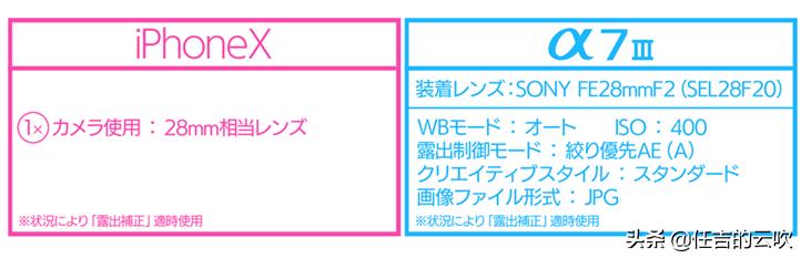 相机跟手机拍出来的照片差的大吗,相机跟手机拍照的差距