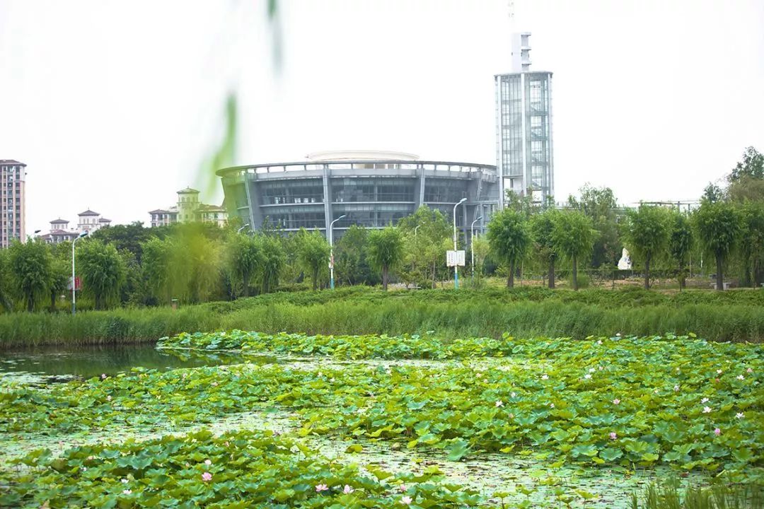 大连理工大学毕业生最后怎么样了?3成留大连,年薪7.28万