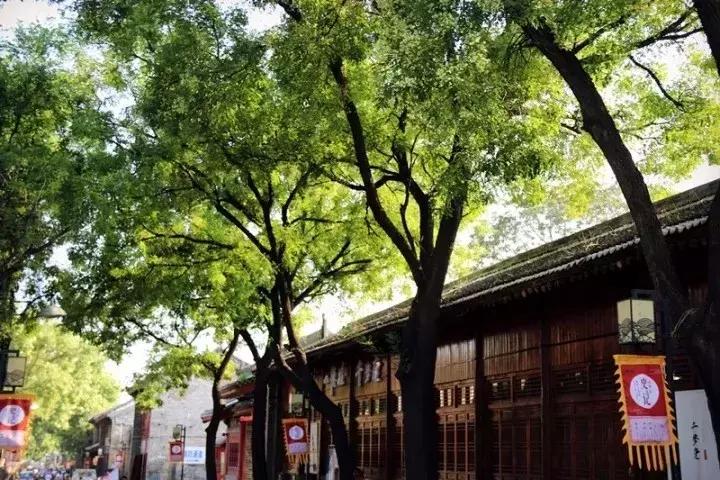 韩城五一旅行攻略,韩城市五一假日攻略