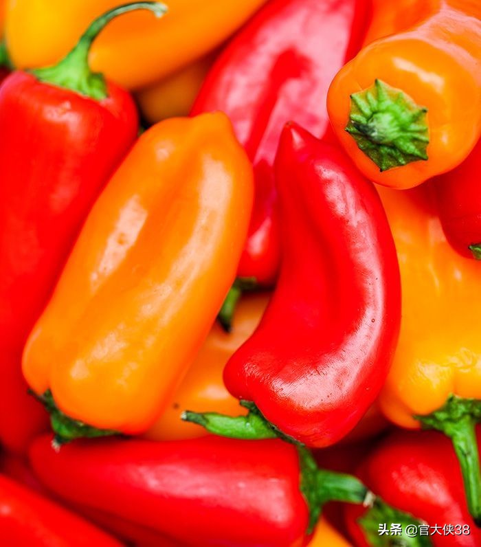 营养专家推荐十种营养丰富的蔬菜,9种营养最佳的养生蔬菜