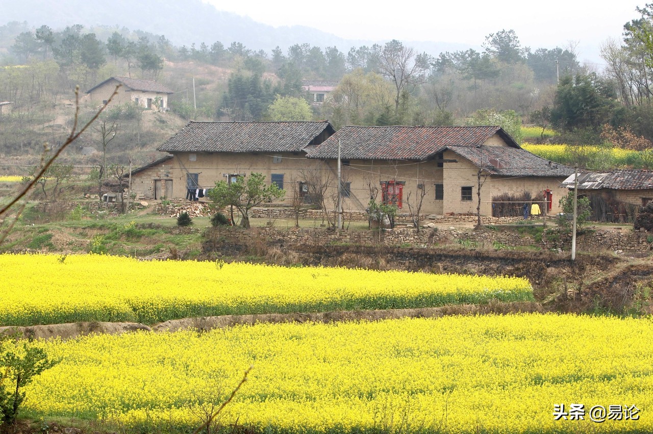 天道芮小丹为什么管小喽啰,天道为什么说芮小丹聪明呢