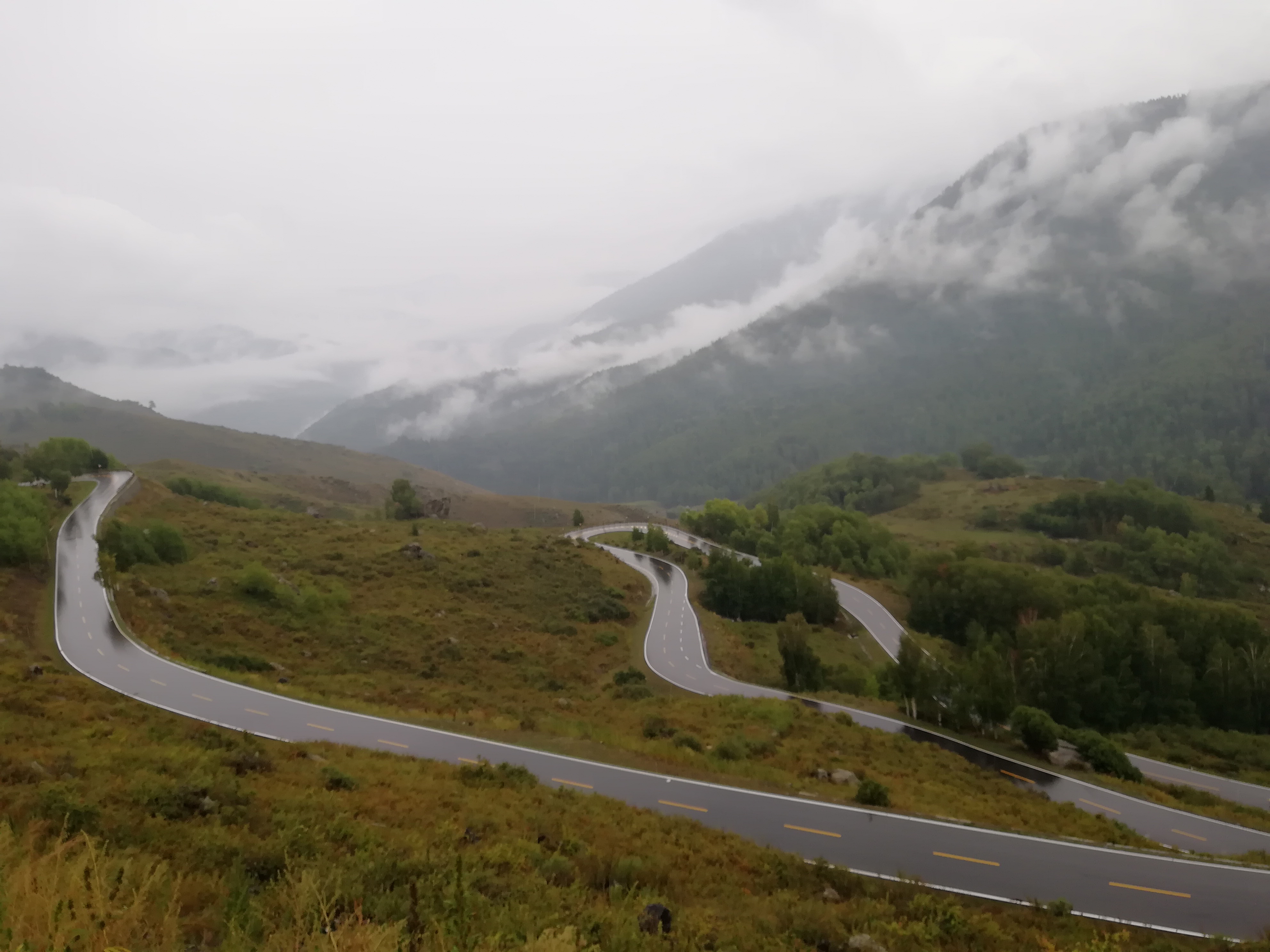 带狗自驾新疆注意事项,想带狗狗去新疆