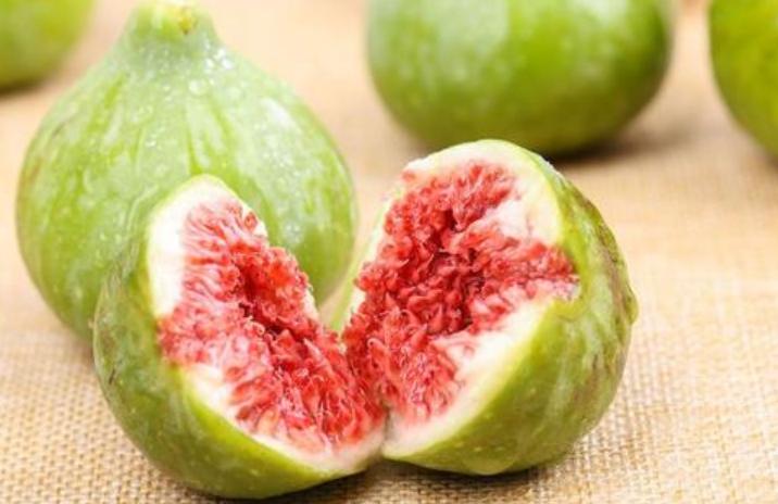 种无花果效益,种植无花果树收益