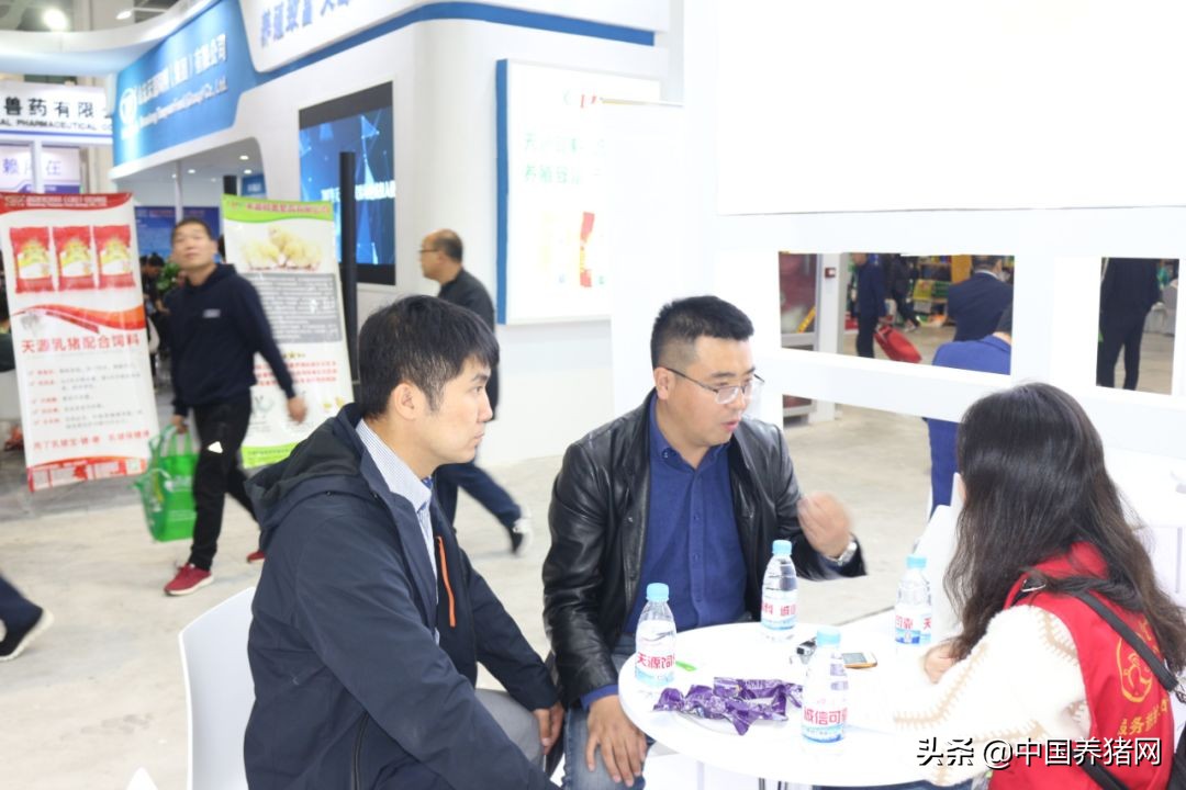 吃得多、出栏快、不拉稀,新希望六和教你金猪行情下抢占先机