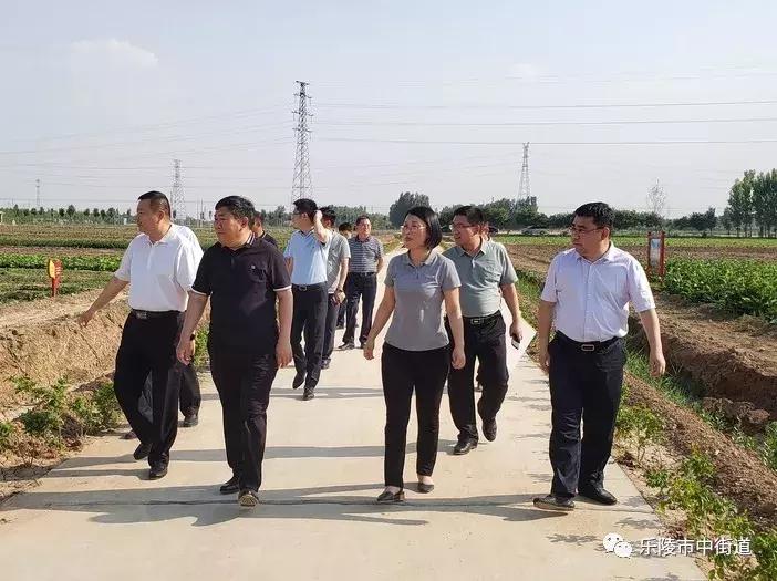 重点工作周报,街道工作周报