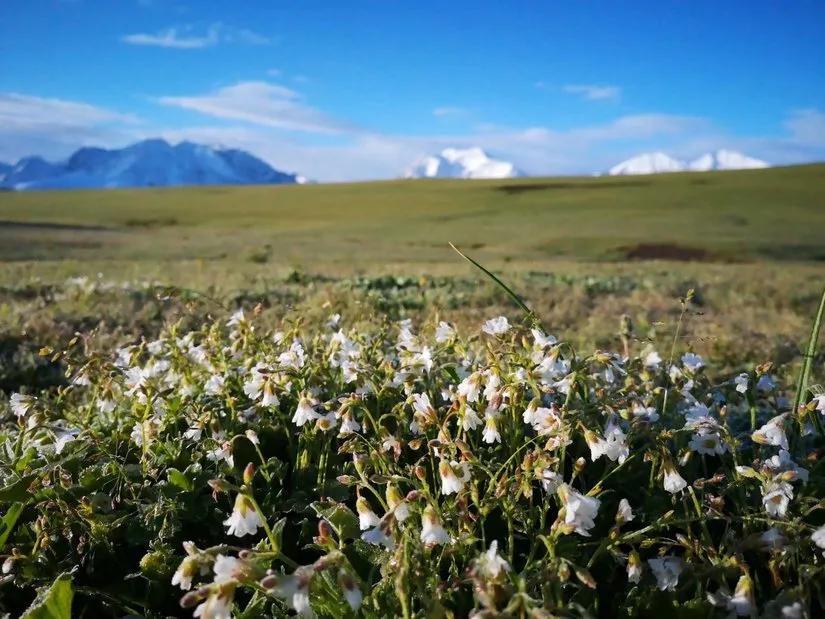 喀拉峻穿越琼库什台几天,喀拉峻穿越琼库什台