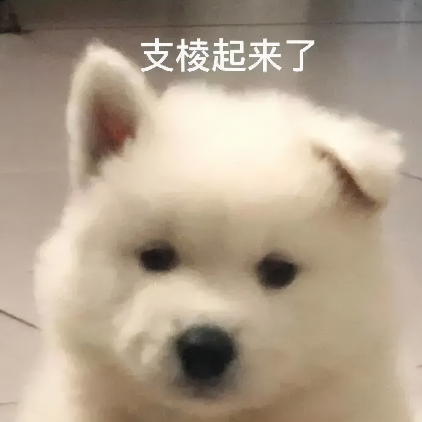 四川麻辣烫火爆,四川麻辣烫怎么这么火