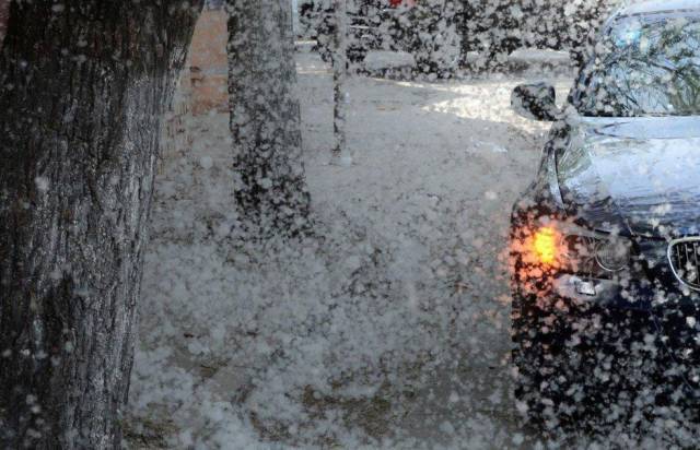 传记丨五月“飞雪”记