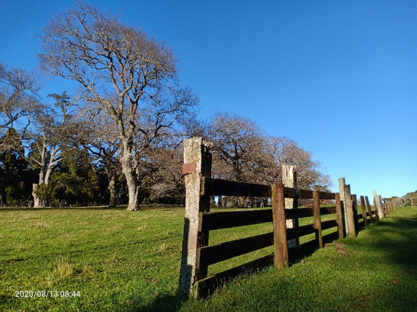 一树山,我的精神家园