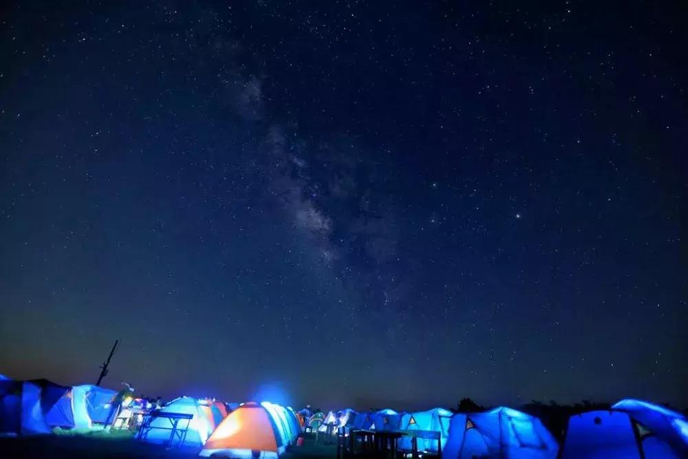 额济纳旅游自由行攻略,额济纳旗旅游最佳省钱攻略